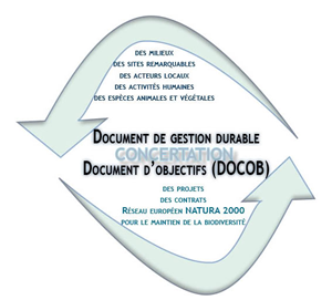 Schéma du document d'objectifs (DOCOB)